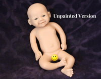 Thumbnail for Silicone Baby Doll Full Body Reborn Preemie 13